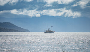 contact-photographe-geneve